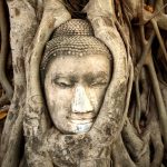 Đầu tượng Phật ở Ayutthaya – Thái Lan